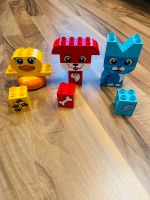 Lego Duplo  10858 Meine ersten Tiere - Farben lernen Köln - Nippes Vorschau