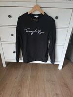 pulli Tommy Niedersachsen - Holenberg Vorschau