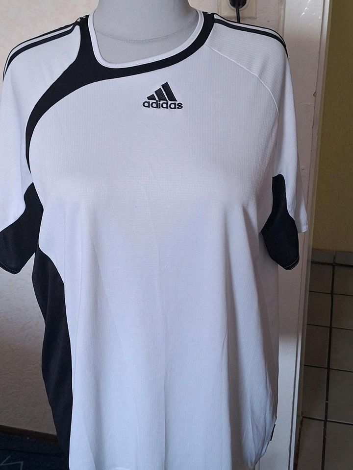 Adidas Shirt xl in Forchheim