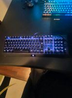 razer blackwidow x chroma Bayern - Lauf a.d. Pegnitz Vorschau