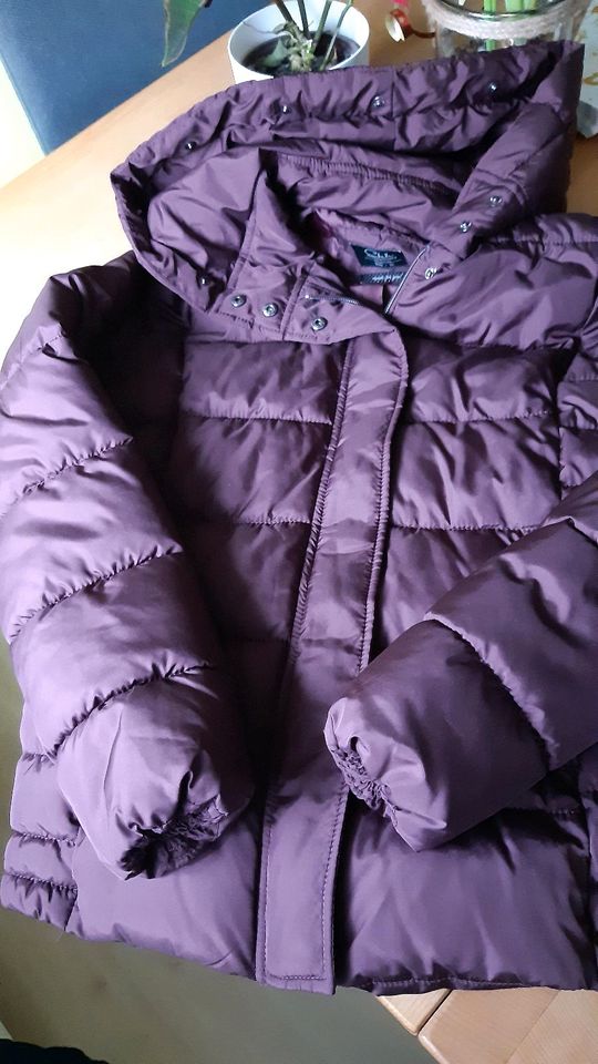 Winterjacke gesteppt bordeaux Gr. 36 in Weilheim an der Teck