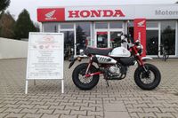 HONDA MONKEY 125 VERKAUFEN ZWEI WUNDERSCHÖNE HONDA MONKEY 125CCM Hessen - Bürstadt Vorschau