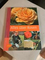 Ulmer - alles über Rosen  Nordrhein-Westfalen - Dinslaken Vorschau