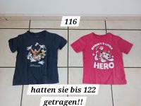 T- Shirts in 116-122 (Disneyworld, P.Patrol - Marchall) Bayern - Lamerdingen Vorschau