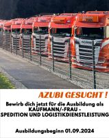Ausbildung als Kaufmann/frau Spedition-und Logistikdienstleistung Baden-Württemberg - Schramberg Vorschau