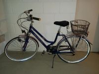Giant Damenfahrrad dunkelblau Citybike Korb Gepäckträger 26er Hessen - Witzenhausen Vorschau