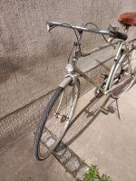 Vintage Herrenrad, Hercules Fahrrad Sachsen - Diera-Zehren Vorschau