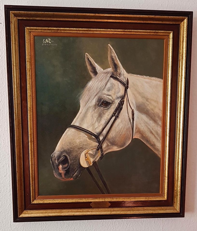 Ölgemälde Trakehner Schimmel Sterntaler Sport Pferd Portrait Bild in Nürnberg (Mittelfr)