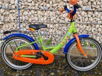 Fahrrad Delphine 18 Zoll Rheinland-Pfalz - Germersheim Vorschau