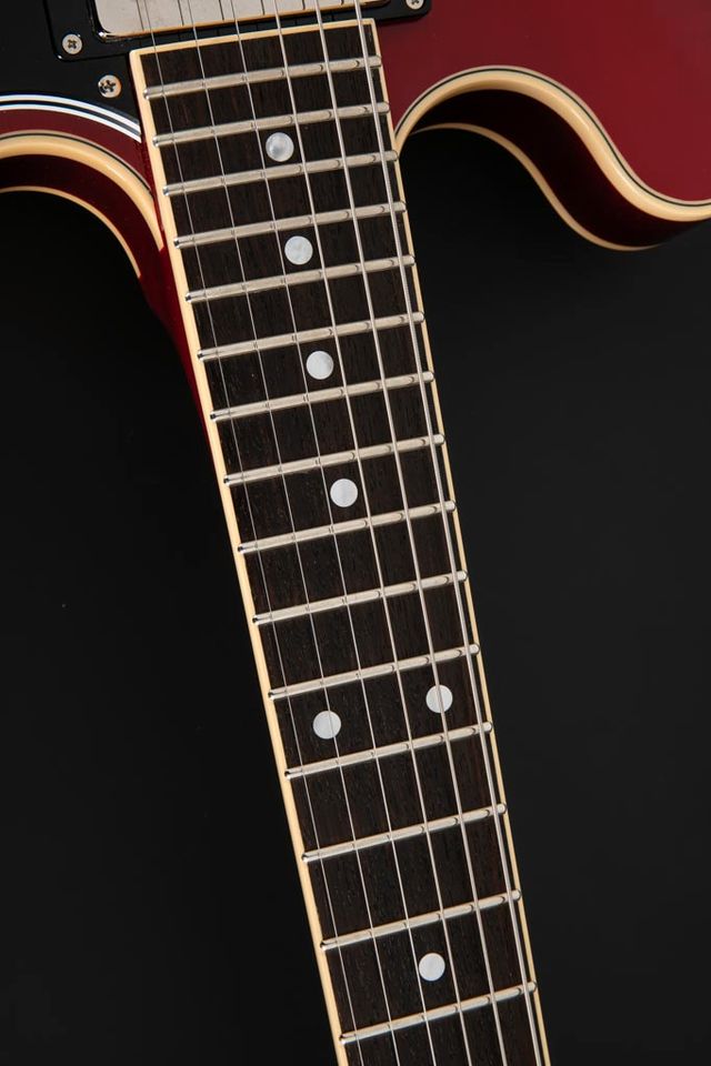 2022 FGN Masterfield Cherry in Paderborn