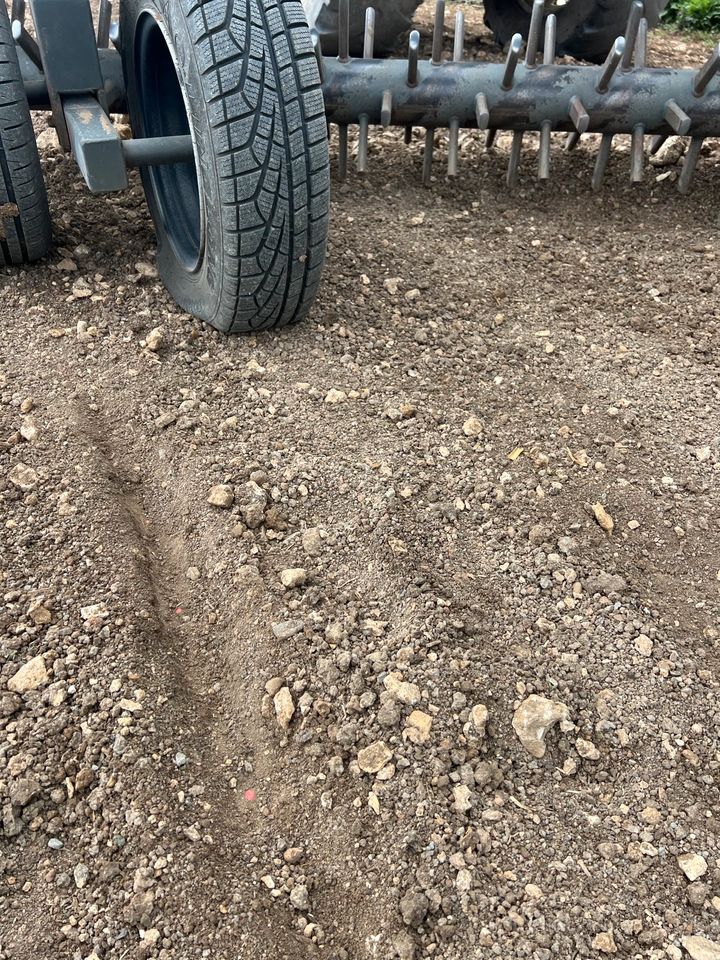 Steinsammler Steinerodung Rockpicker Kivi Pekka in Fremdingen