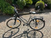 PEGASUS Solero Alu Light Damen Fahrrad in 28 Zoll mit 7-Gang Niedersachsen - Bad Münder am Deister Vorschau