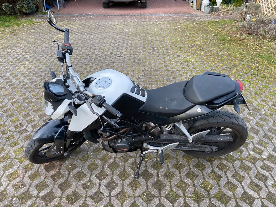 KTM Duke 125 in Biesenthal