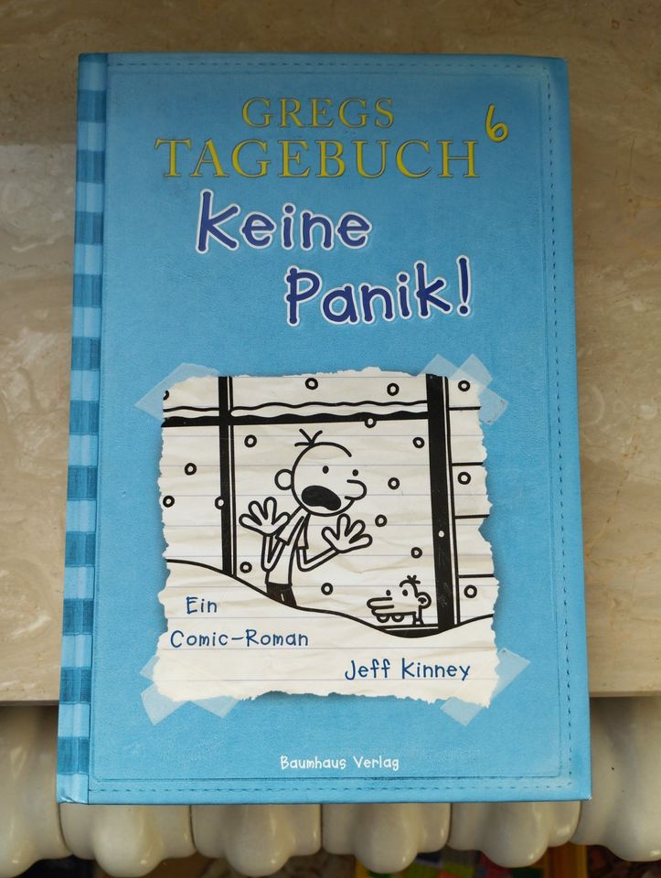 Gregs Tagebuch Band 4 & 6 gebundene Ausgabe in Dresden