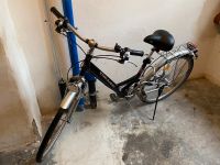 Damenrad Herrenrad Fahrrad  Made in Japan München - Ramersdorf-Perlach Vorschau