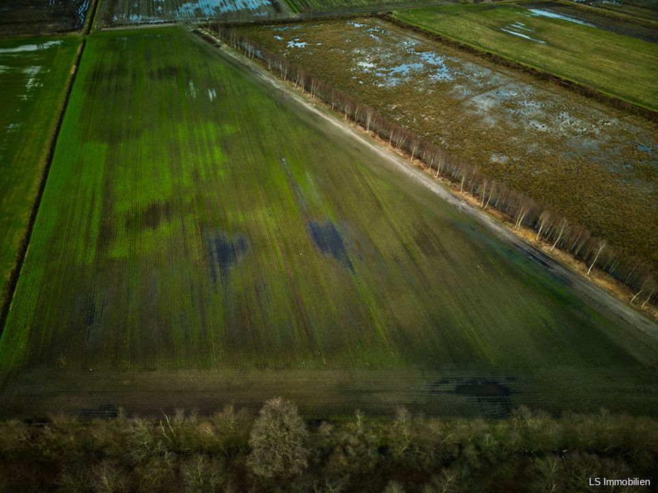 Resthof und Einfamilienhaus ,Zwei Häuser in Edewecht-Husbäke auf ca. 7500 qm Land in Edewecht