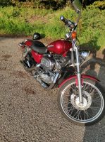 Harley Davidson Sportster XLH 1200 Schleswig-Holstein - Neumünster Vorschau