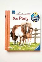 Wieso weshalb warum Pony Düsseldorf - Flingern Nord Vorschau