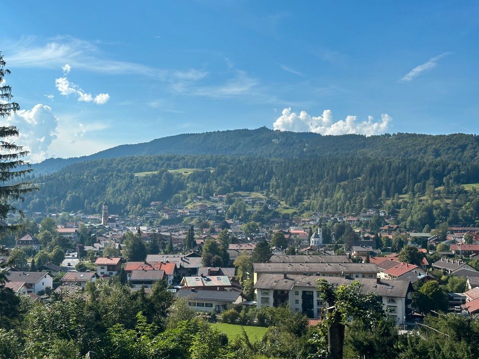 Attraktives Appartement mit Panoramablick auf den Ort  - Mittenwald - ruhige Lage am Karwendelmassiv in Mittenwald