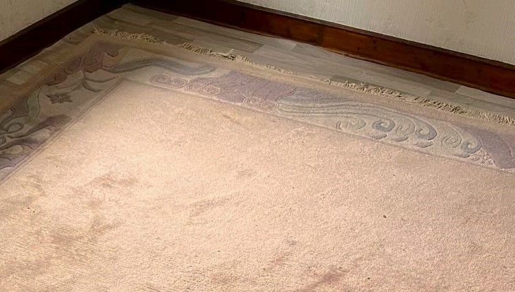 Teppich Nepal Wolle hangeknüpft ca 340 x 250 cm in Bornheim