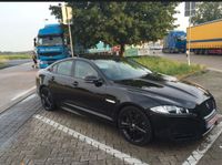 Jaguar XF 3.0 V6 Diesel Black-Line Schleswig-Holstein - Ammersbek Vorschau