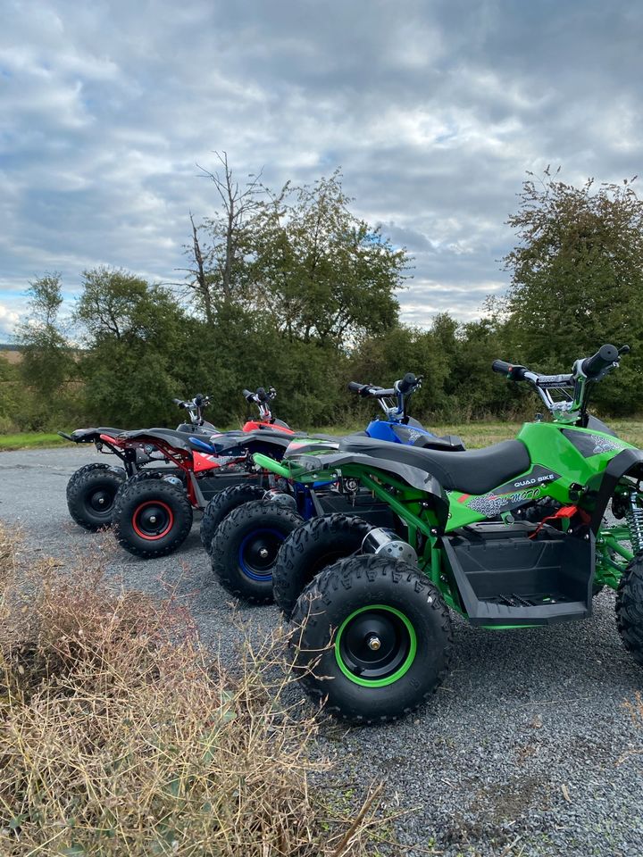 Pocket Bike Quad 1000 Watt NEU Elektro Kinderquad Mini ATV 2024 in Haibach Unterfr.