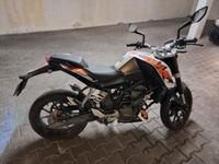 KTM Duke Bayern - Großostheim Vorschau