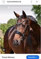 Stirnriemen Ivy Horsefashion Glitzer Kopfstück Trense Stirn WB Bayern - Kitzingen Vorschau