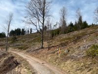 Waldgrundstück zu verkaufen Bayern - Zwiesel Vorschau