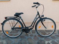 Damenfahrrad 28 Zoll Triumph Avenue Comfort schwarz 3 Gänge neuwe Bayern - Mühlhausen i.d. Oberpfalz Vorschau