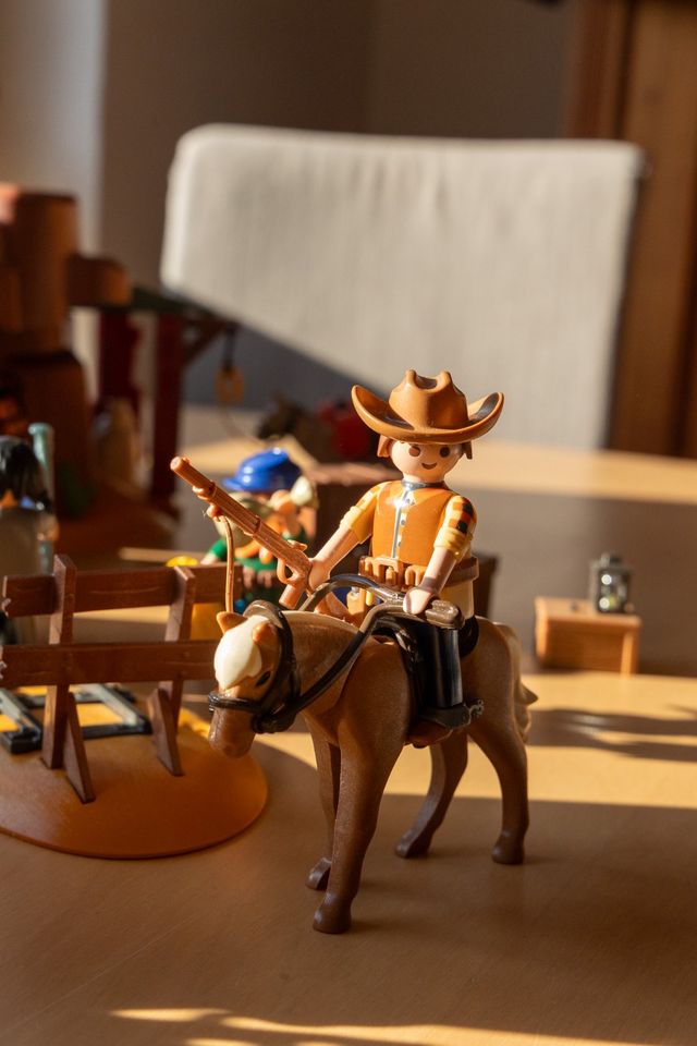 Große Playmobil Western Sammlung mit ua. Goldmine 5246 in Kassel