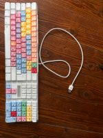 Apple Tastatur für Logic Niedersachsen - Rinteln Vorschau