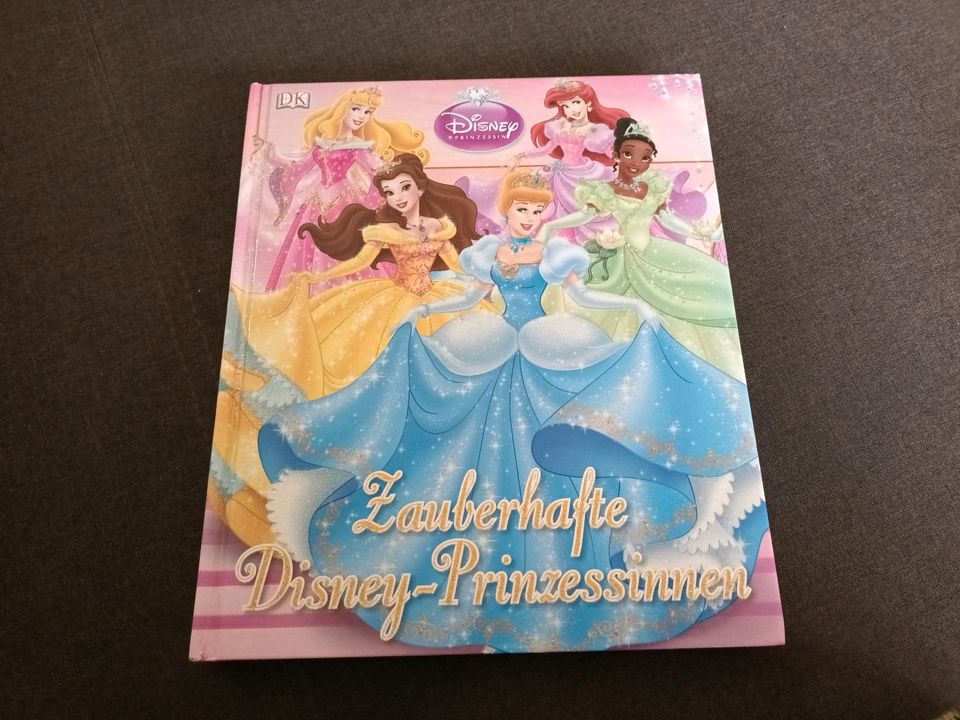 Disney Prinzessinnen Buch in Weil der Stadt