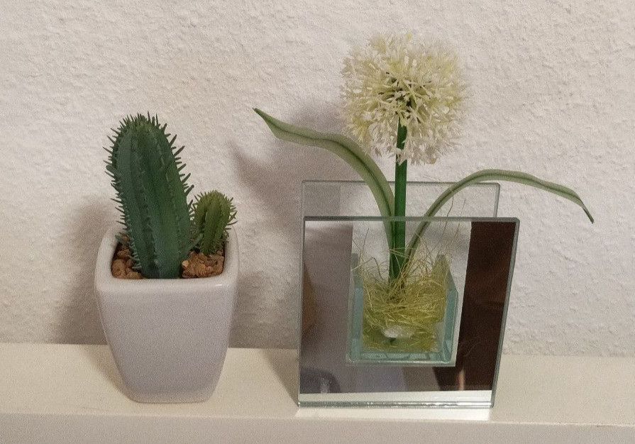 2 künstliche kleine Pflanzen (Kaktus, Blume) im Topf / Glas in  Rheinland-Pfalz - Konz
