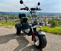 E-Trike Modell Venaxio T640s Baden-Württemberg - Weil am Rhein Vorschau