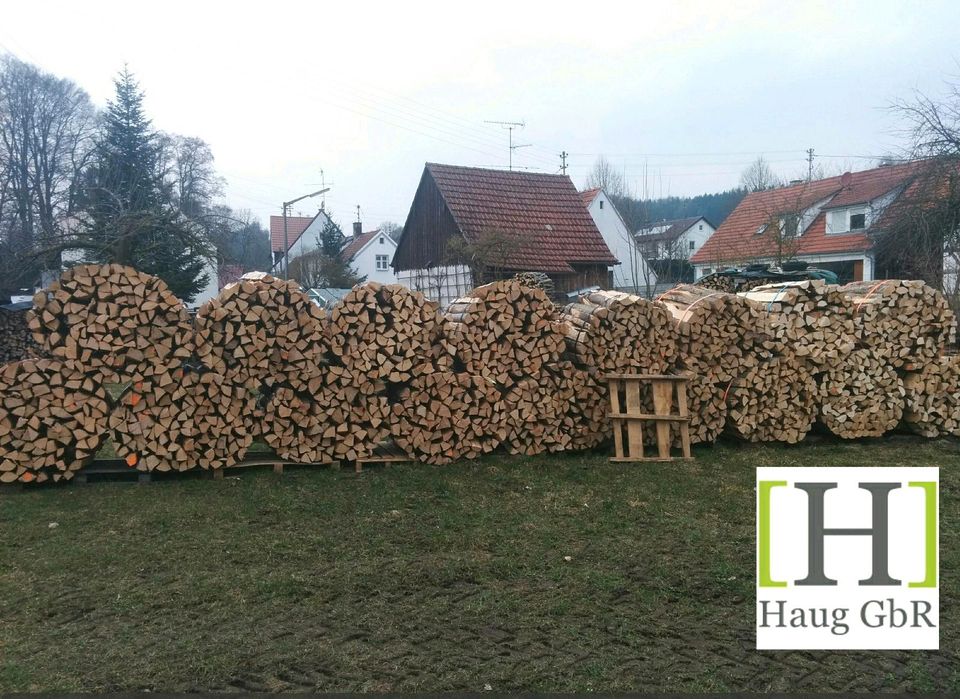 25cm Brennholz Hartholz Buche Esche Kaminholz in Kammeltal