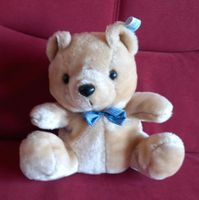 Teddy Bär Teddybär Kuscheltier als Geschenkverpackung Niedersachsen - Seevetal Vorschau