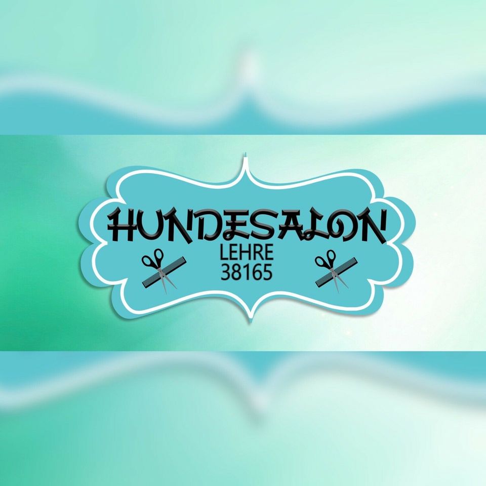 HundeSalon - Hundefriseur • MickysDogShop• in Lehre