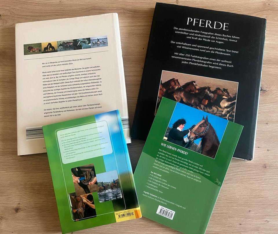 Mein Pferd - alles rund ums Pferd - 4 Bücher * neuwertig * in Chemnitz