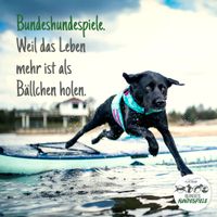 DU und dein Hund im Sommer bei den Bundeshundespiele 2024 Niedersachsen - Hildesheim Vorschau
