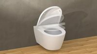 Neu! - Duroplast D-Form WC Sitz - Toilettenbrille Absenkautomatik Nordrhein-Westfalen - Krefeld Vorschau