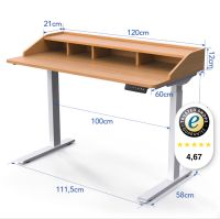 FLEXISPOT Q2, Schreibtisch Niedersachsen - Holzminden Vorschau