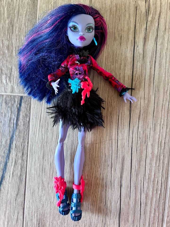 Mattel Monster High der große Schreckensriff Jane Boolittle Puppe in Merzig