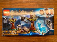 LEGO Harry Potter 75945 "Expecto Patronum" Brandenburg - Potsdam Vorschau