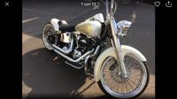 Harley Softail FLSTN Twin cam 96 Köln - Raderthal Vorschau