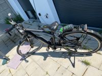 Kettler Escaro Comp 8 Pedelec E-Bike Herren Essen - Altenessen Vorschau