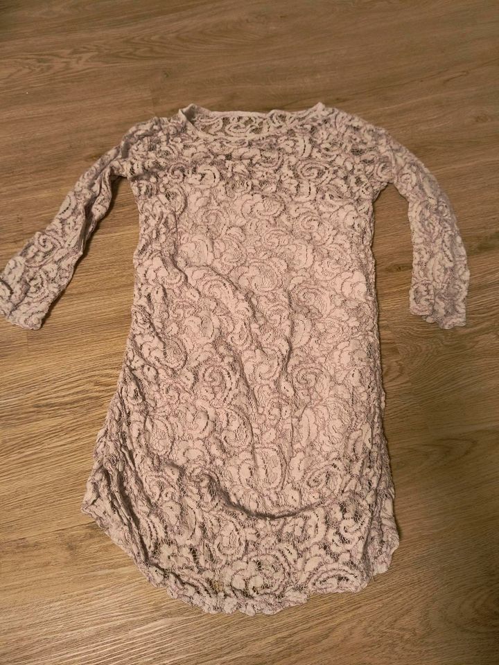 Bluse * Spitze * rosa * Pullover* in St. Michaelisdonn