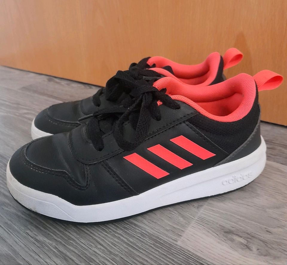 Sneaker der Marke Adidas in Löbau