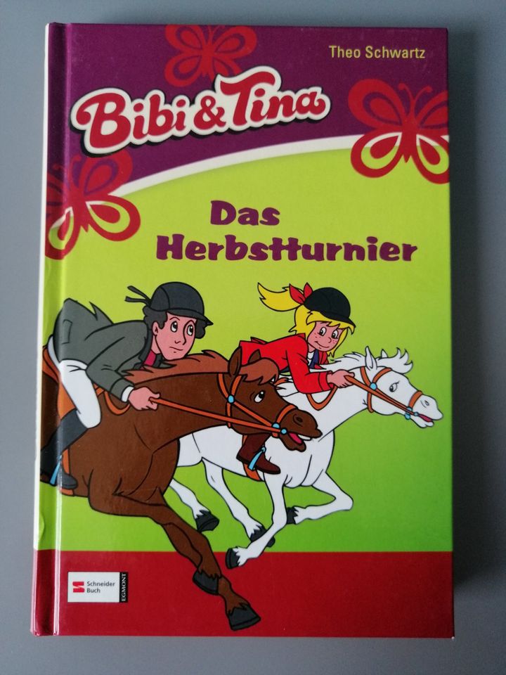 3x Bibi & Tina ❤ Band 7, 8, 9, 15, 20 ❤ Schneider Buch in Bernhardswald