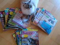 Katzenzeitungen,geliebte Katze, Zeitschriften Katze Bayern - Burgkunstadt Vorschau